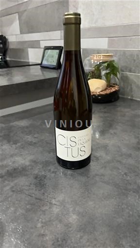 Languedok Limoux Domaine Cazaban Cistus Jo Viti