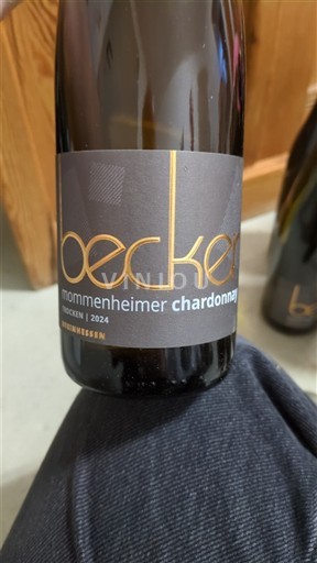 Rajna-Hesen Rajnska oblasti Becker 2024