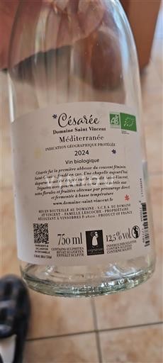 Provence, pjesa e poshtme e luginës së Rhônës, Korsikë Mesdheut Domaine Saint Vincent Césaree 2024