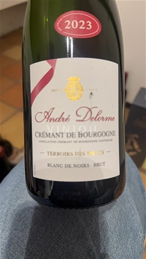 Burgundi Crémant-de-Bourgogne André Delorme Terroirs des Sœurs 2023
