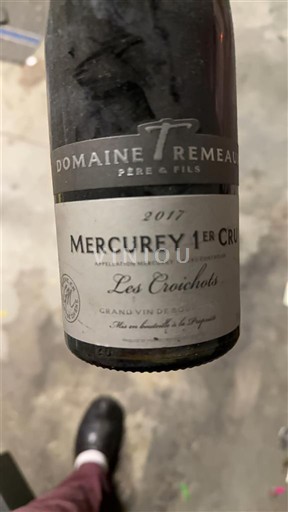 Burgundija Nespecificirano Premier Cru Domaine Trémeaux Les Croichots 2017