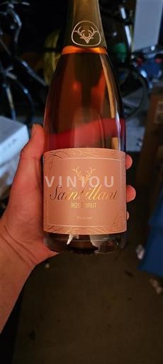 Lugina e Luarës Saint-Pourçain Domaine Bellevue Saintillant Jo Viti