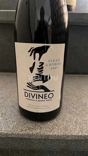 Languedoc Nicht spezifiziert Divineo Syrah de Robiac 2021