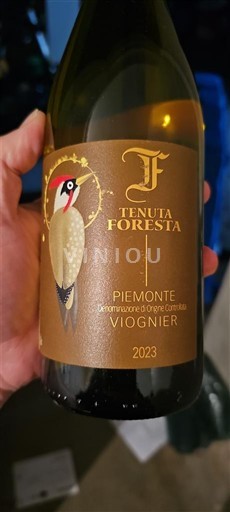 Pijemont Tenuta Foresta 2023