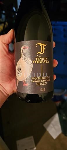 Rượu vang Rouge sec Tenuta Foresta 2024 Ý Piemonte Monferrato DOC