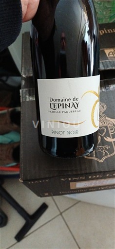 Вина Rouge sec Domaine L'Épinay Non millésimé Франція Луарська долина Вал-де-Луар IGP