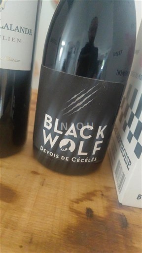 Languedoc in Roussillon Saint-Guilhem-le-Désert Devois de Cécélès Black Wolf 2023