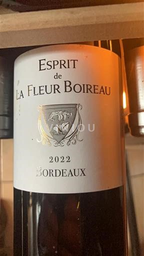 Вина Rouge sec Esprit de La Fleur Boireau La Fleur Boireau 2022 Франція Бордо AOC