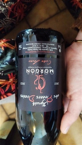 Beaujolais Morgon Vignoble des Pierres Dorées laura 2022