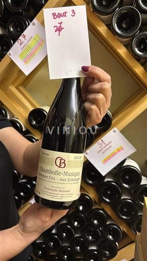 Wijnen Rouge sec Christophe Buisson 2019 Frankrijk Bourgondië Niet gespecificeerd AOC Premier Cru