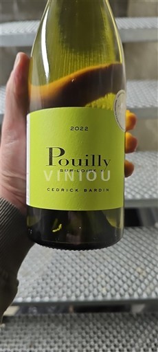 Dolina Loare Пуији-сур-Лоара Cedrick Bardin 2022