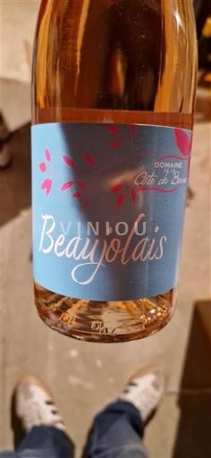 Beaujolais Domaine Côte du Bœuf 2024