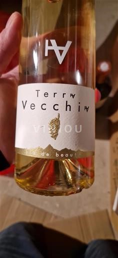 Korsika Ishulli i Bukurisë Domaine Terra Vecchia Jo Viti