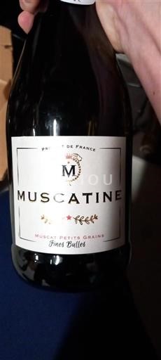 Vera e gazuar Blanc doux Muscatine Non millésimé Francë Alsace Muskat AOC