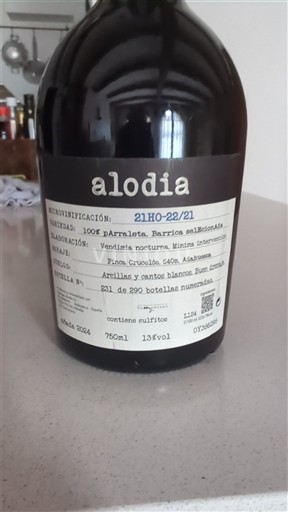 Арагон Сомонтано Alodia 21HO-22/21 2021