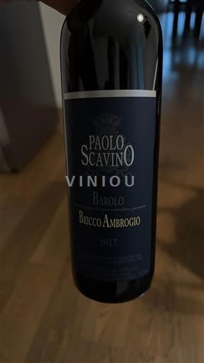 Вина Rouge sec Bricco Ambrogio Paolo Scavino 2017 Italija Pijemont Barolo DOCG