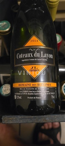 Dolina Loare Кото де Лејон Domaine Blouines JL Cesbron 2014