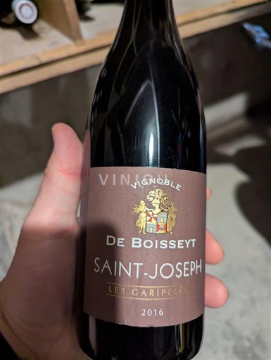 Lugina e Ronës Shën Jozefi Vignoble De Boisseyt Les Garipelés 2016