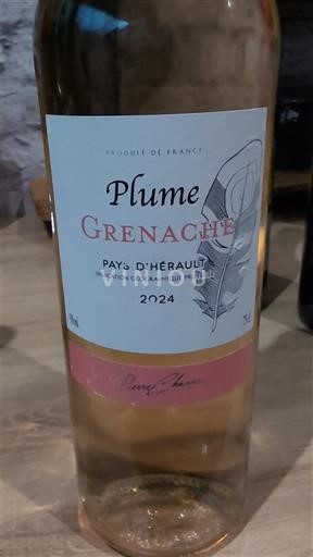 Languedoc Niet gespecificeerd Plume Grenache 2024