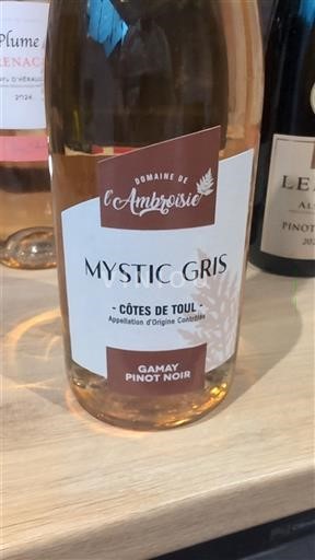 Вина Rosé sec Mystic Gris Domaine L'Ambroisie 2023 Francuska Lorena Кот де Тул AOC