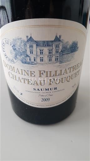 Vinos Rouge sec Domaine Filliatreau Château Fouquet 2009 Francia Valle del Loira Saumur AOC