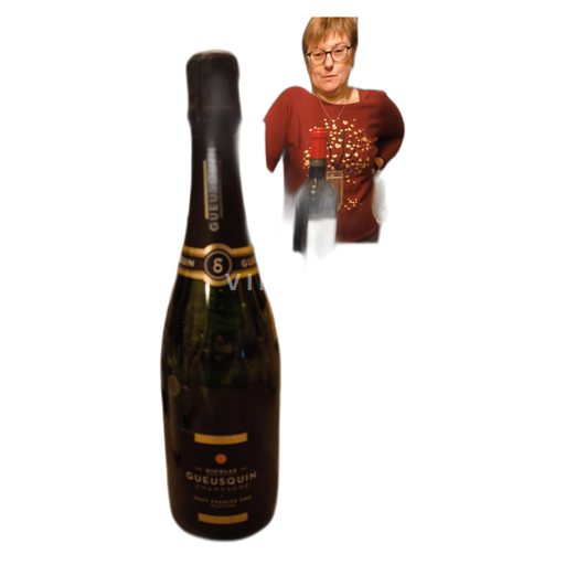 Champagne Ospecificerad Nicolas Gueusquin Brut Premier Cru Icke årgångsbetecknad