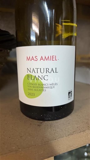 Linguadoca e Rossiglione Côtes catalanes Mas Amiel Natural Blanc 2023