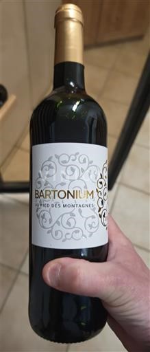 Jugperëndim Bartonium Au Pied des Montagnes 2021