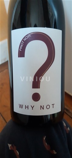 Languedoc Why Not Ohne Jahrgang