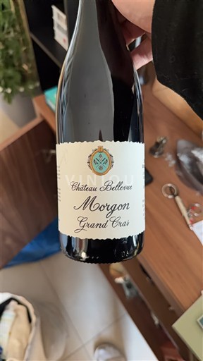 Viinit Rouge sec Grand Cras Château Bellevue 2020 Ranska Beaujolais Morgon AOC