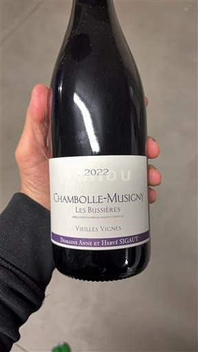 Burgundi Chambolle-Musigny Domaine Anne et Hervé Sigaut Les Bussières Vieilles Vignes 2022