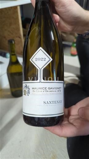 Borgoña Santenay Maurice Gavignet 2022