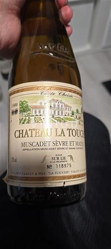 Lugina e Luarës Muscadet-sèvre-et-maine Château La Touche Choisie 1999
