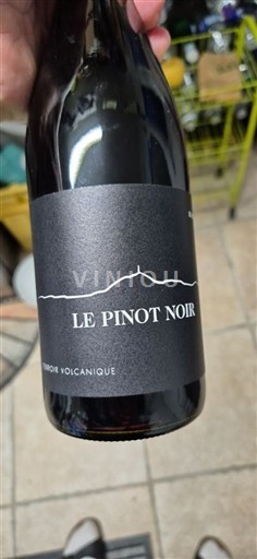 Valle della Loira Puy-de-Dôme Le Pinot Noir Senza annata