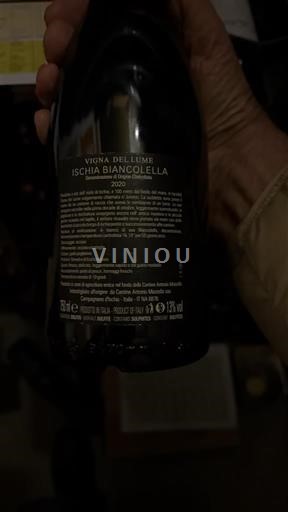 Kampania E paspecifikuar Vigna del Lume 2020