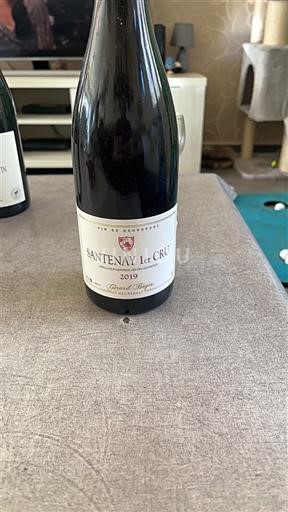 Borgoña Santenay Premier Cru Vin de Bourgogne 2019