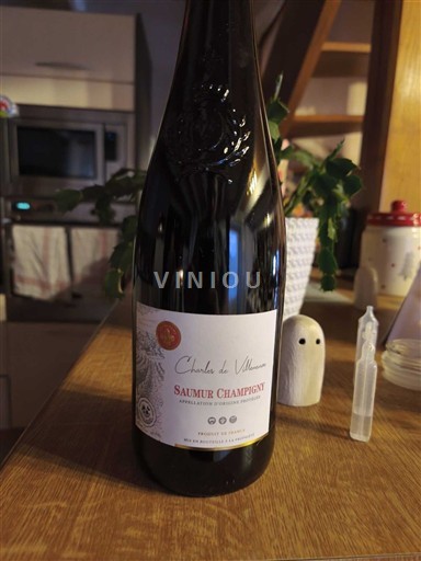 Vina Rouge sec Charles de Villeneuve 2023 Francija Dolina Loare Saumur-champigny AOC