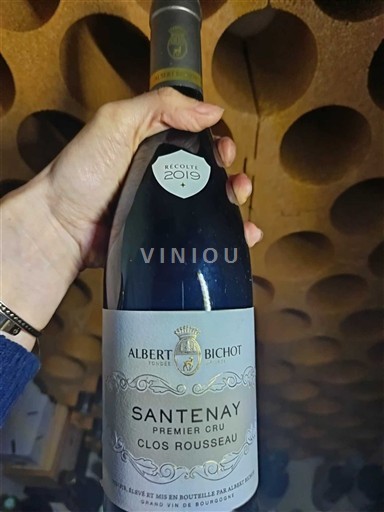 Vinos Rouge sec Clos Rousseau Albert Bichot 2019 Francia Borgoña Santenay AOC Premier Cru