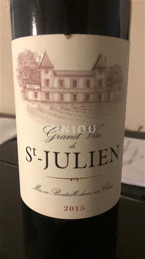 Bordoja Saint-Julien Grand Vin 2015