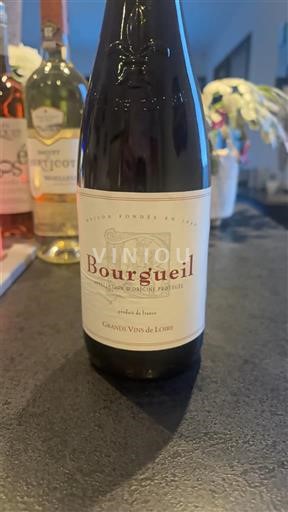 Lugina e Luarës Bourgueil Cave des Vins de Bourgueil Jo Viti