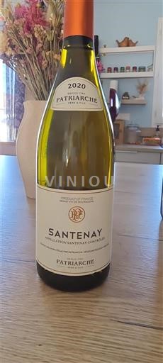 Borgoña Santenay Patriarche 2020