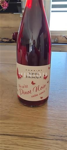 Burgundi E paspecifikuar Domaine Sophie Joigneaux Un p'tit Pinot Noir entre amis Jo Viti