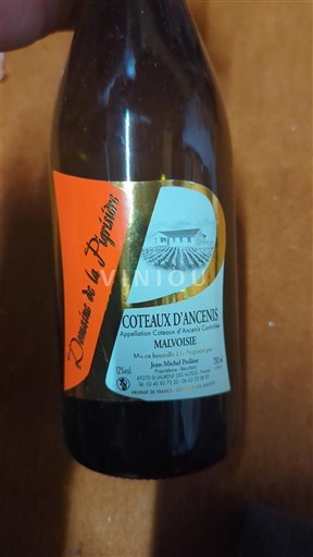 Dolina Loare Кото де Ансени Domaine La Préguillère Malvoisie Невинтиджирано