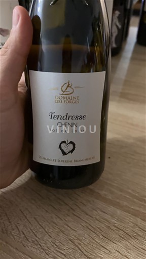 Loiren laakso Domaine Forges Tendresse 2024