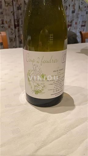 Viner Blanc sec Coup 2 Foudres 2021 Frankrike Loiredalen Ikke spesifisert AOC