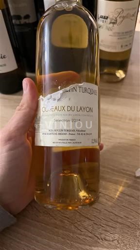 Dolina Loare Кото де Лејон Domaine Martin Turquais Sélection 2018