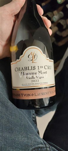 Burgundi Chablis premier cru Premier Cru Domaine Yvon & Laurent Vocoret Homme Mort Vieille Vigne 2022
