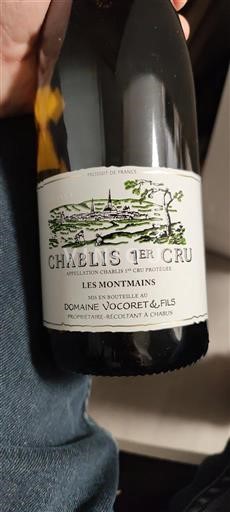 Burgundi Chablis premier cru Premier Cru Domaine Vocoret & Fils Les Montmains 2021