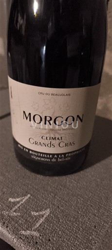 Beaujolais Morgon Signeurs de Bel-Air Grands Cras 2019