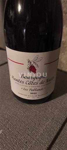 Burgundi E paspecifikuar Domaine Nicolas Barcella Les Pollands 2022